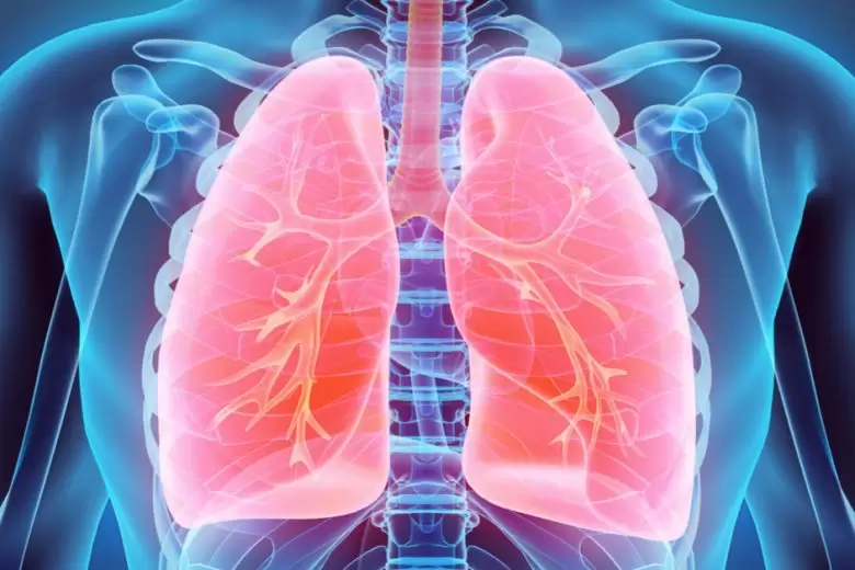 Orkambi, fibrose cística, plano de saúde, SUS, cobertura obrigatória, direitos do paciente, tratamento, doença rara, qualidade de vida, Anvisa, Brasil.
